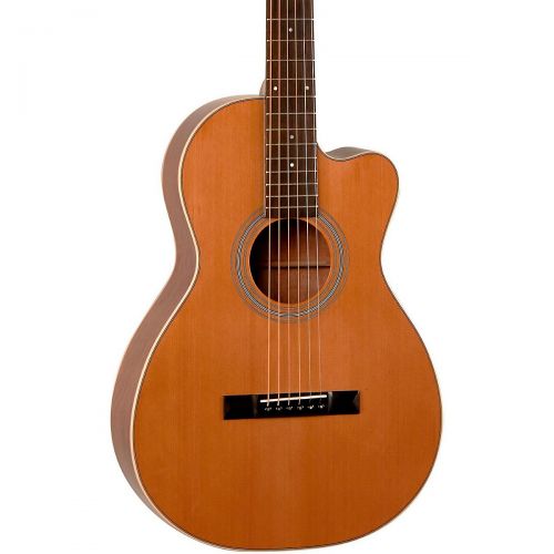  Recording King},description:This is a classic parlor guitar body shape with the unusual addition of a cutaway for access to upper frets. It is a great fingerstyle guitar, as smalle