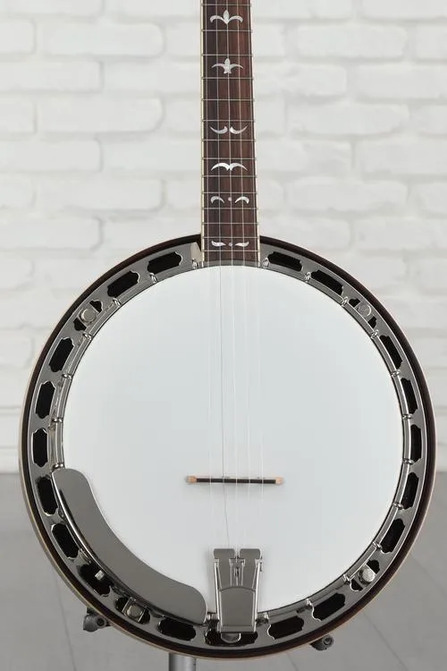 Recording King Madison Maple RK-R35 Resonator Banjo with Tone Ring - Hand-rubbed Brown Satin