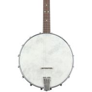 Recording King Dirty 30s Tenor Banjo - Open-back