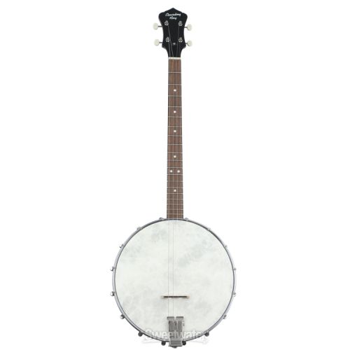  Recording King Dirty 30s Tenor Banjo - Open-back