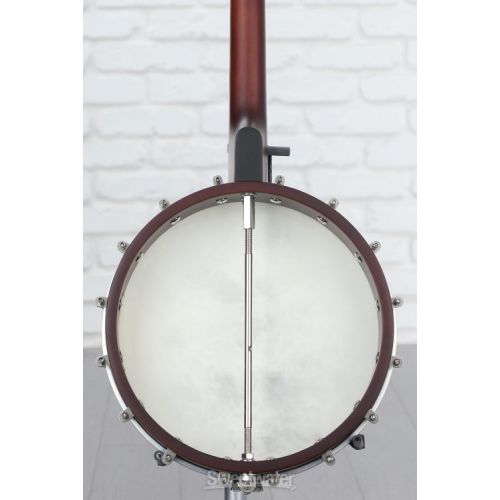  Recording King Dirty 30s Tenor Banjo - Open-back