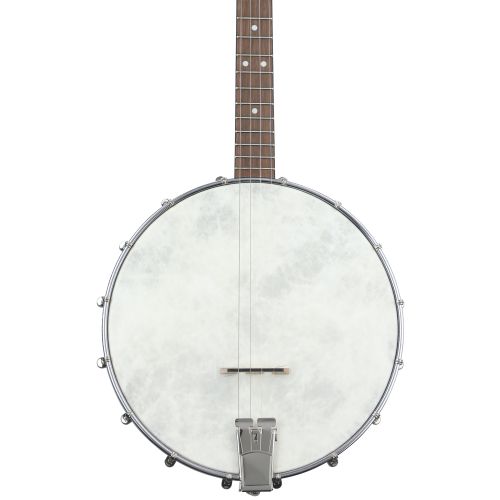  Recording King Dirty 30s Tenor Banjo - Open-back