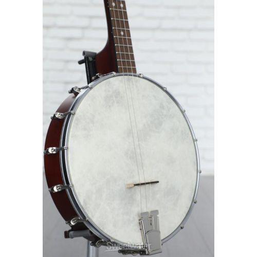  Recording King Dirty 30s Tenor Banjo - Open-back