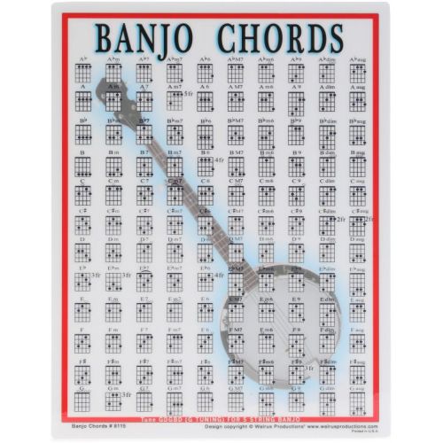  Recording King Dirty 30s Tenor Banjo Essentials Bundle - Open-back