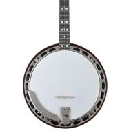 Recording King Elite Hearts & Flowers Banjo