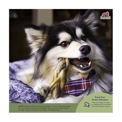  Redbarn All Natural 5-8” Braided Bully Sticks for Small & Large Dogs - Healthy Long Lasting Beef Chews Variety Party Pack - Single Ingredient Low Odor Rawhide Free - 8 oz Bag - Packaging May Vary