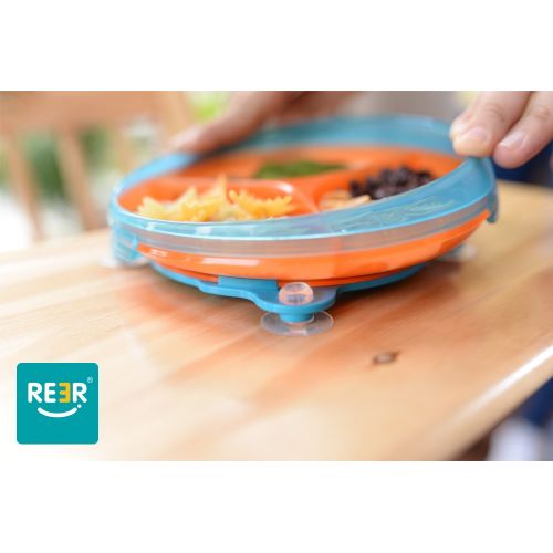  Reerpu ReeR Section Divided Plate Dish Stay Put Bowl with Twisty Suction Base for Infant Toddler and 6 Months...