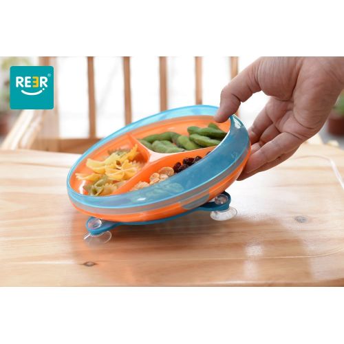  Reerpu ReeR Section Divided Plate Dish Stay Put Bowl with Twisty Suction Base for Infant Toddler and 6 Months...