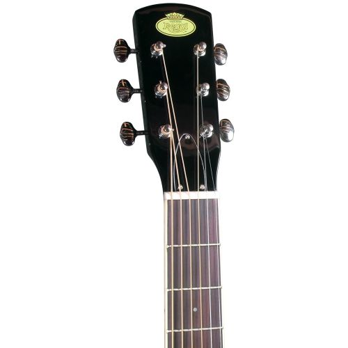  Regal RD-30T Studio Series Roundneck Resophonic Guitar - Sunburst Mahogany