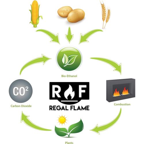  Regal Flame Ultra Pure Ventless Bio Ethanol Fireplace Fuel - 9 Quarts