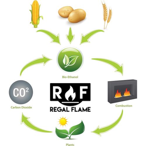  Regal Flame 1 Quart Bio-Ethanol Fireplace Fuel 24 Bottles