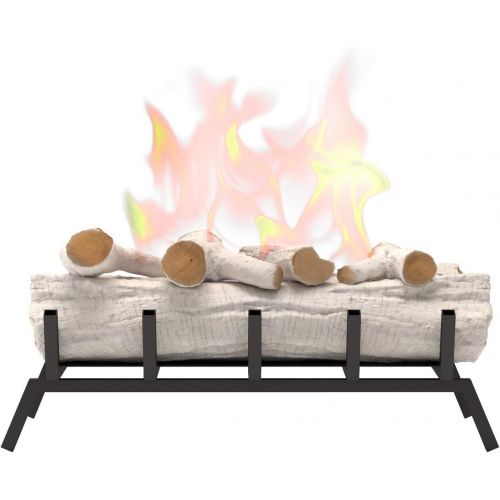  Regal Flame 24 Inch Convert to Ethanol Fireplace Log Set with Burner Insert from Gel or Gas Logs (Birch)