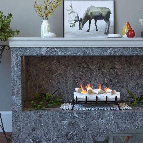  Regal Flame 24 Inch Convert to Ethanol Fireplace Log Set with Burner Insert from Gel or Gas Logs (Birch)