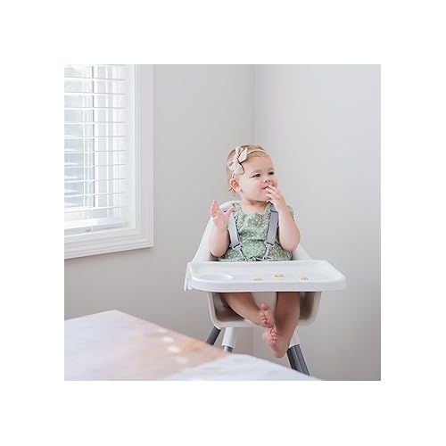  Regalo High Chair for Babies and Toddlers, Award Winning Brand, Removable Oversized Tray with Cup Holder, Five Point Harness, White