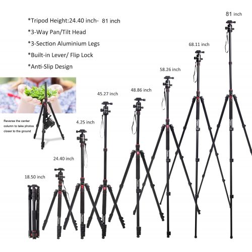  Regetek 81 Inch Camera Tripod Monopod (Professional Aluminum DSLR Binocular Telescope Video Tripod) with 360 Panorama Ball Head for Canon Nikon Sony Olympus DV Gopro with Carry Bag