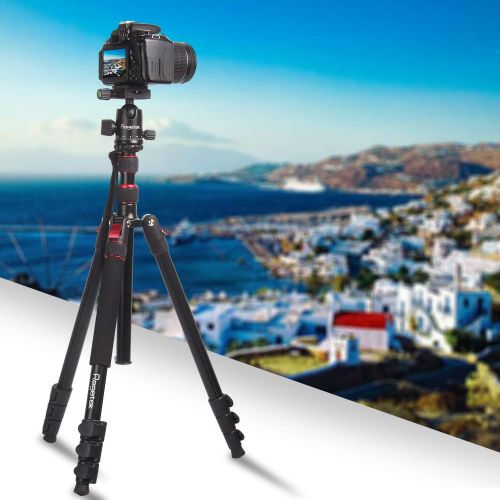  Regetek 81 Inch Camera Tripod Monopod (Professional Aluminum DSLR Binocular Telescope Video Tripod) with 360 Panorama Ball Head for Canon Nikon Sony Olympus DV Gopro with Carry Bag