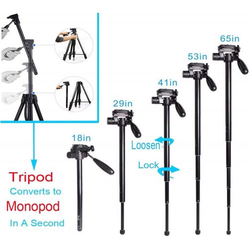  Regetek 73 Camera Tripod Travel Monopod (Aluminum Professional Video Camera Mount) Adjustable Stand with Flexible Head for Canon Nikon DV DSLR Camcorder Webcam Gopro cam& Carry Bag