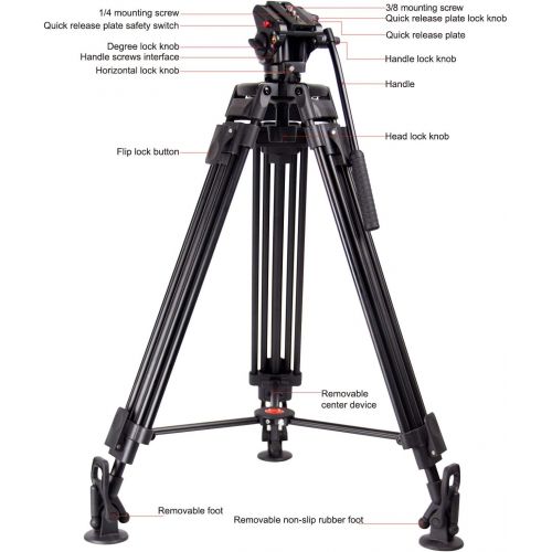  Regetek 71 Professional Video Camera Tripod System Heavy Duty Aluminum Adjustable Tripod Stand with Fluid Pan Head and Carry Bag for for Canon Nikon DV Camcorder DSLR Photo Studio