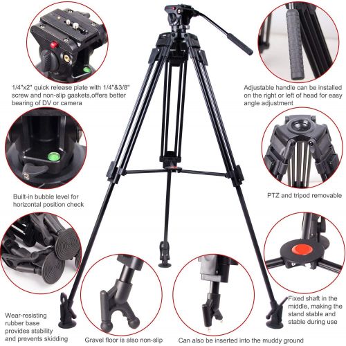  Regetek 71 Professional Video Camera Tripod System Heavy Duty Aluminum Adjustable Tripod Stand with Fluid Pan Head and Carry Bag for for Canon Nikon DV Camcorder DSLR Photo Studio