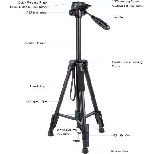  Regetek Camera Tripod Travel Monopod(65 Aluminum Professional Video Camera Mount Leg) Adjustable Stand with Flexible Head for Canon Nikon DV DSLR Camcorder Gopro cam& Carry Bag