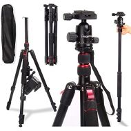 Regetek 81 Inch Camera Tripod Monopod (Professional Aluminum DSLR Binocular Telescope Video Tripod) with 360 Panorama Ball Head for Canon Nikon Sony Olympus DV Gopro with Carry Bag