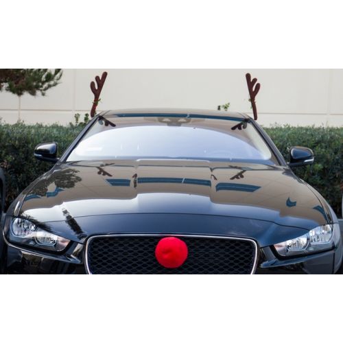  Reindeer Antlers and Rudolph Nose Universal Holiday Car Costume