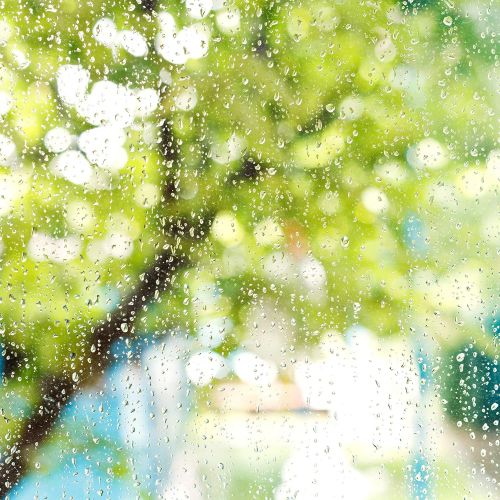  [아마존 핫딜]  [아마존핫딜]Relaxdays Regenmesser 2er Set, mit Halter, Niederschlagsmesser Garten, grosse Anzeige 35 mm/m², Kunststoff, transparent