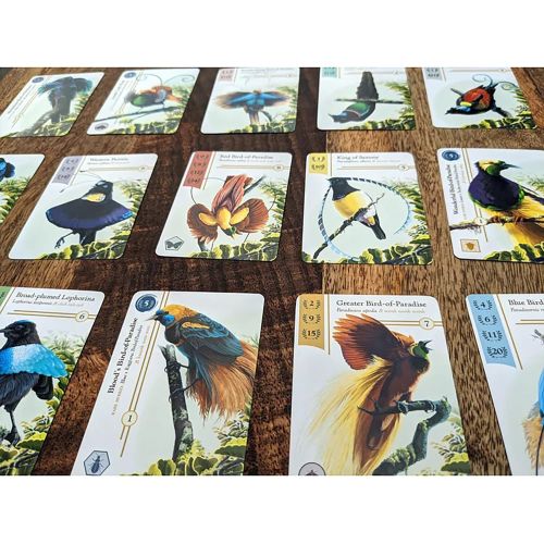  Renegade Game Studios Birdwatcher Board Game