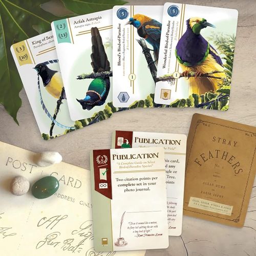  Renegade Game Studios Birdwatcher Board Game