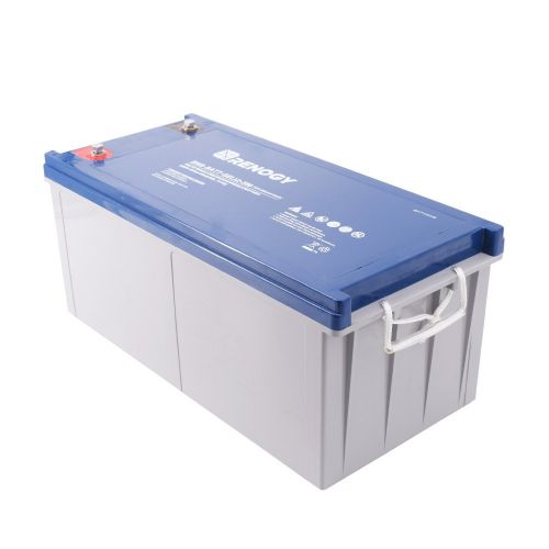  Renogy 12V 100Ah Rechargeable Deep Cycle Pure Gel Battery