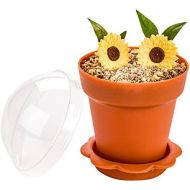 6 oz Terracotta Plastic Mini Flower Pot Cup - with Lid - 3 x 3 x 3 - 100 count box - Restaurantware: Kitchen & Dining