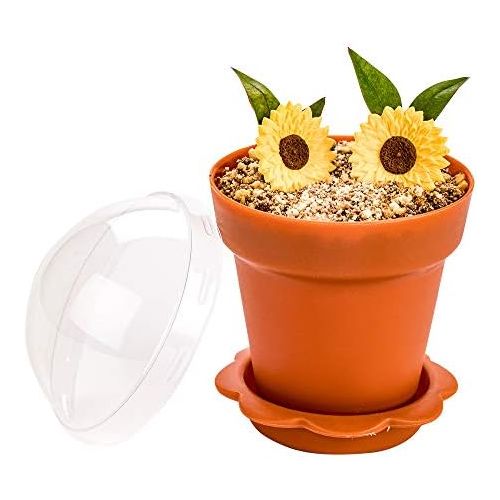  6 oz Terracotta Plastic Mini Flower Pot Cup - with Lid - 3 x 3 x 3 - 100 count box - Restaurantware: Kitchen & Dining