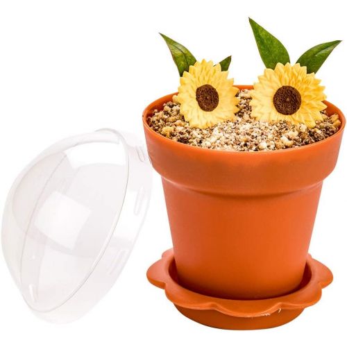  6 oz Terracotta Plastic Mini Flower Pot Cup - with Lid - 3 x 3 x 3 - 100 count box - Restaurantware: Kitchen & Dining