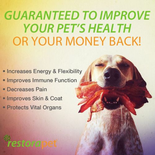 RestoraPet 2 Pack Organic Pet Supplement for Dogs, Cats & Horses | Healthy & Safe Antioxidant Liquid Drops | Anti-Inflammatory Multi-Vitamin | Increases Mobility, Energy & Reduces