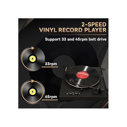  Retekess TR639 Record Player Wireless, Belt-Drive Stereo Turntable, Auto Stop, 2 Speed, RCA Output, Dust Cover, Vinyl Record Turntable Player for Home