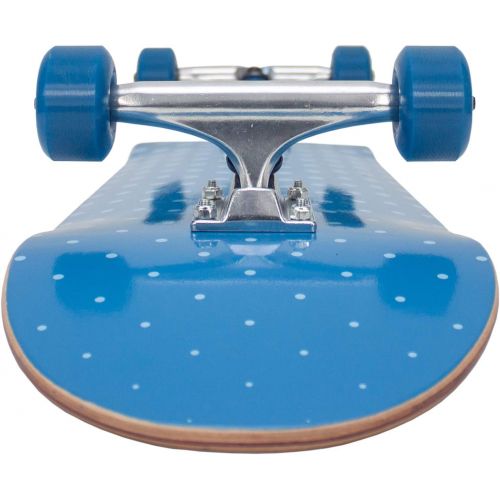  Retrospec Alameda Skateboard Complete Canadian Maple Wood Deck w/ 5.5 Inch Aluminum Alloy Trucks for Commuting, Cruising, Carving & Downhill Riding