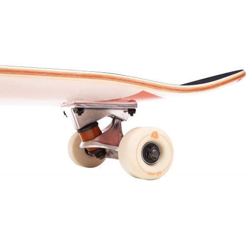  Retrospec Alameda Skateboard Complete Canadian Maple Wood Deck w/ 5.5 Inch Aluminum Alloy Trucks for Commuting, Cruising, Carving & Downhill Riding