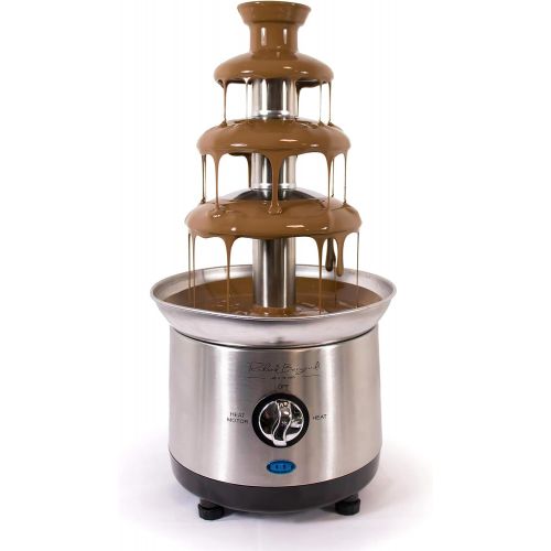  [아마존베스트]Richard Bergendi Chocolate Fountain, New Premier Inox, 430 mm Height