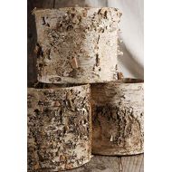 Richland Birch Bark Planter with Plastic Liner 7 x 6 Set of 6