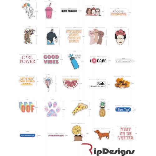  [아마존베스트]RipDesigns - 30 Vinyl Stickers for Water Bottles, Laptops (Series 7)