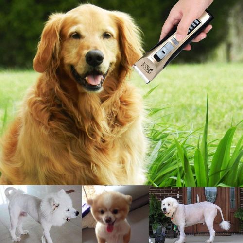  Rision Dog Clippers -【with 2 Shaving Heads】 Pet Clippers Low Noise Rechargeable Cordless Dog Trimmers Professional Animal Grooming Shavers for Thick Hair Dogs, Cats, Rabbits and Horses (G