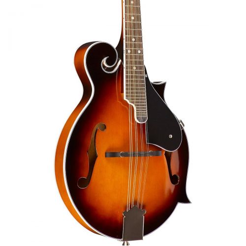  Rogue},description:The Rogue RM-100F F-Style Mandolin is nicely crafted with a spruce top, maple back and sides, 24-fret neck with extended rosewood fingerboard, nickel tuners, and