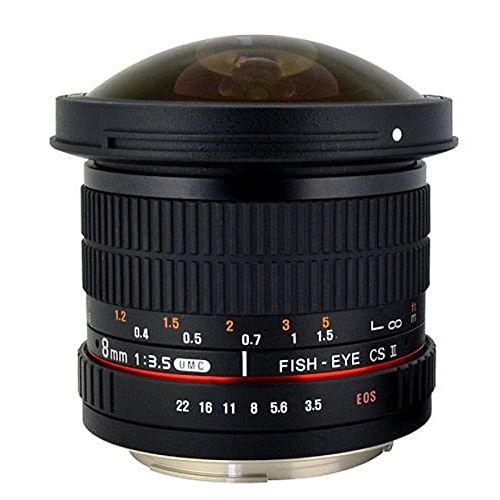  Rokinon HD8M-N 8mm f/3.5 HD Fisheye Lens with Auto Aperture Chip and Removable Hood for Nikon DSLR 8-8mm, Fixed-Non-Zoom Lens