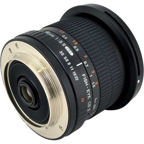  Rokinon 8mm f3.5 AS IF MC CSII DH Fisheye Lens with Removable Hood for Olympus and Panasonic Micro 4/3 (MFT) Mount Digital Cameras (HD8M-MFT)