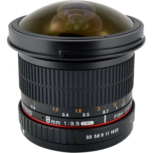  Rokinon 8mm f3.5 AS IF MC CSII DH Fisheye Lens with Removable Hood for Olympus and Panasonic Micro 4/3 (MFT) Mount Digital Cameras (HD8M-MFT)