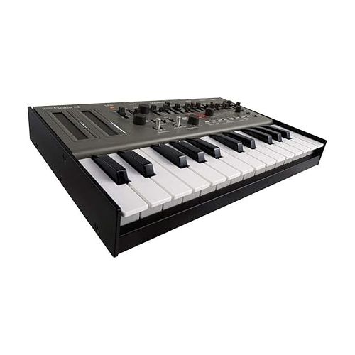 롤랜드 Roland SH-01A Synthesizer with Analog Circuit Behavior