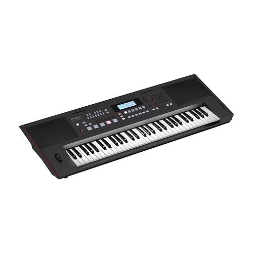 롤랜드 Roland E-X50 Electronic Arranger Keyboard - Easy-to-use | Stereo Speakers | Bluetooth | Professional Sounds | Mic Input | Auto-Accompaniment Function, Black