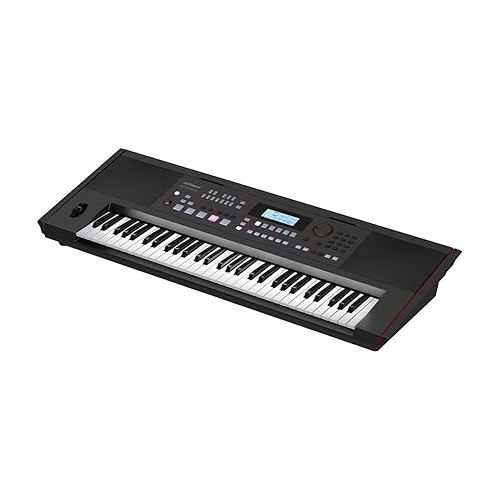 롤랜드 Roland E-X50 Electronic Arranger Keyboard - Easy-to-use | Stereo Speakers | Bluetooth | Professional Sounds | Mic Input | Auto-Accompaniment Function, Black