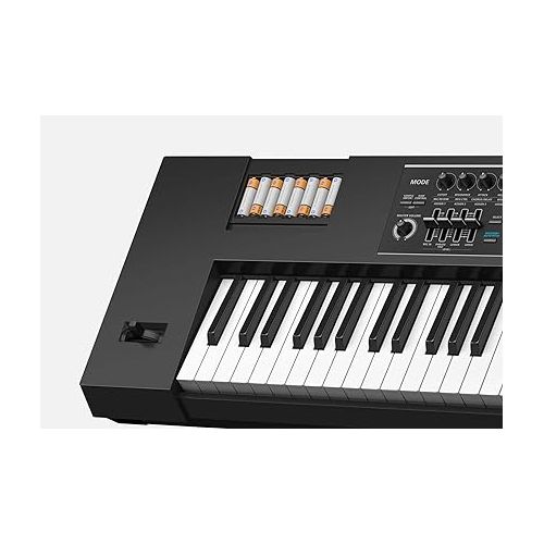 롤랜드 Roland Juno DS-88 Synthesizer Bundle with Sustain Pedal, Adjustable Stand, Bench, Dust Cover, Austin Bazaar Instructional DVD, Online Piano Classes, and Polishing Cloth