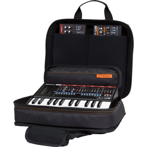 롤랜드 Roland Black Series Carry Bag for Three Boutique Modules (CB-BRB3)